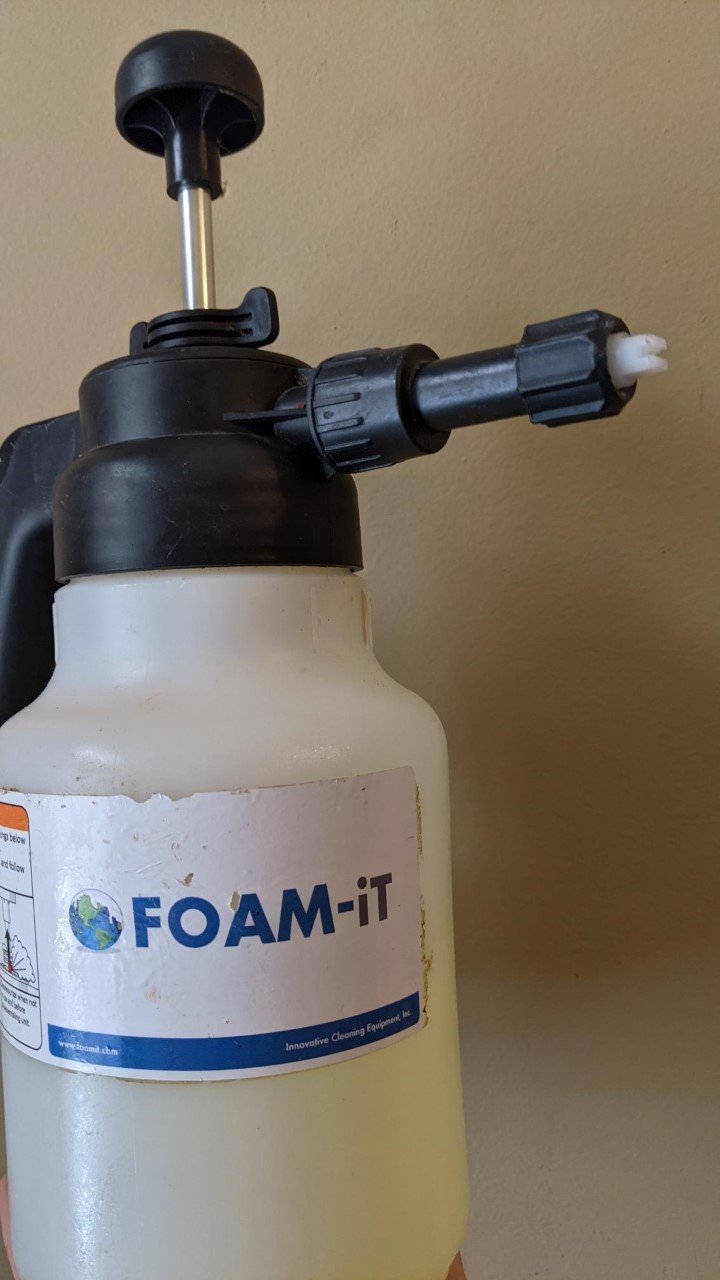 How To Clean Bed Bug Feces